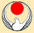 Karat� style Wado Ryu